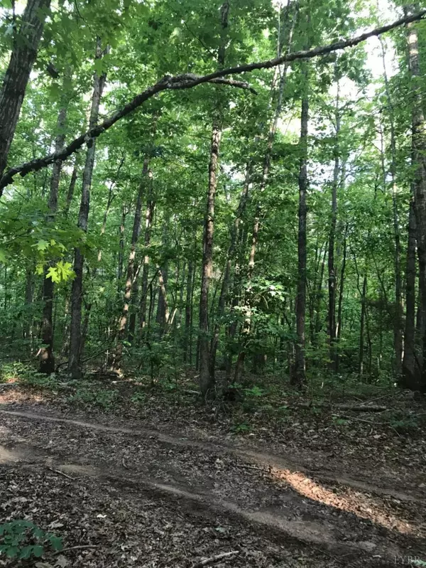 Gladys, VA 24554,231 Swan Creek RD