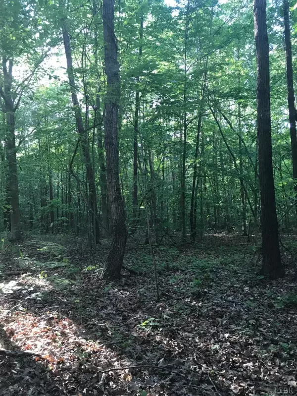 Gladys, VA 24554,231 Swan Creek RD