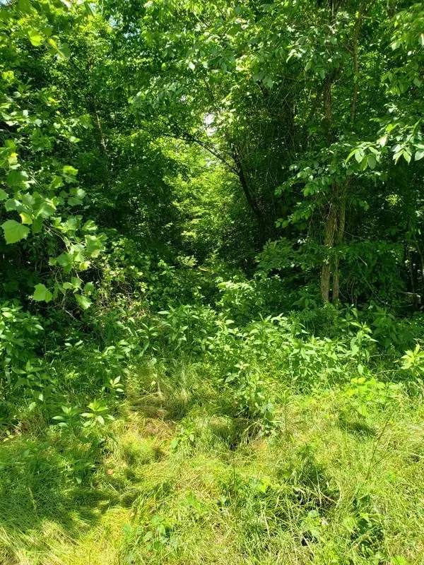 0 Leda RD, Halifax, VA 24588