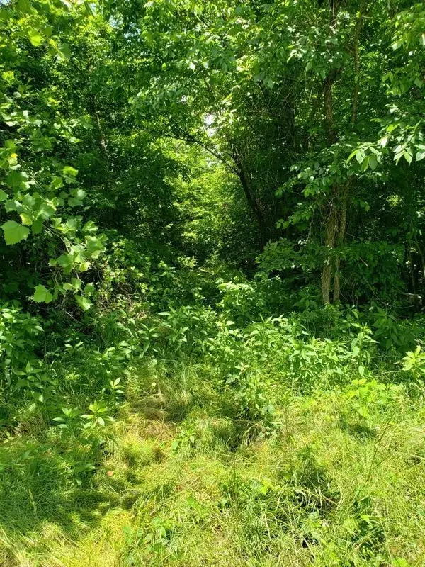 Halifax, VA 24588,0 Leda RD