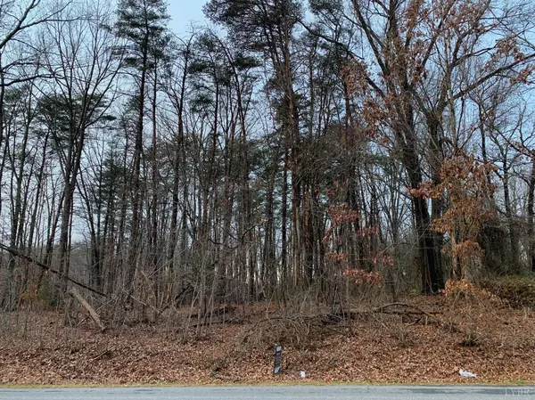 Gladys, VA 24554,0 Lot 1 Long Island RD