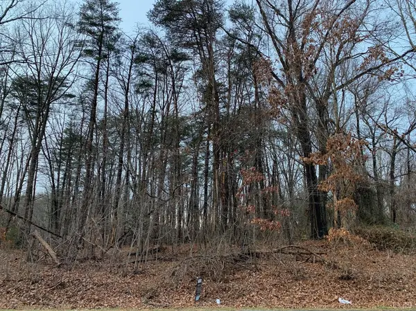 Gladys, VA 24554,0 Lot 1 Long Island RD