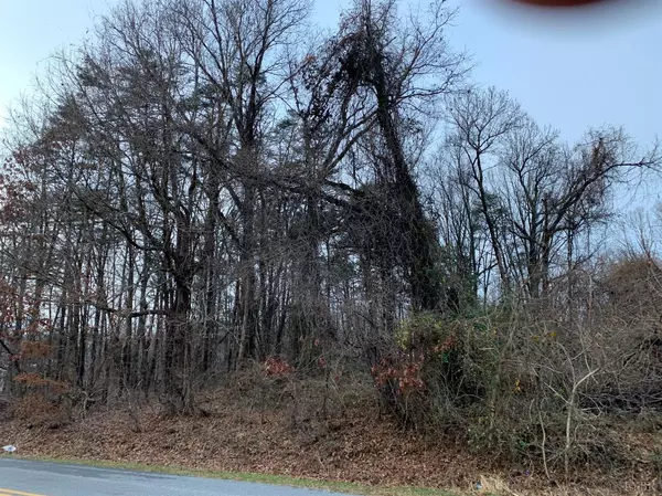 Gladys, VA 24554,0 Lot 1 Long Island RD