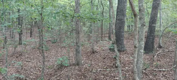 Nathalie, VA 24577,0 Hog Wallow RD