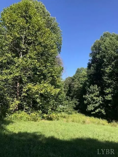 Forest, VA 24551,10 Smartview LN #Lot