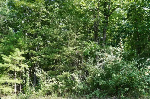 0 Older ST, Gladys, VA 24554