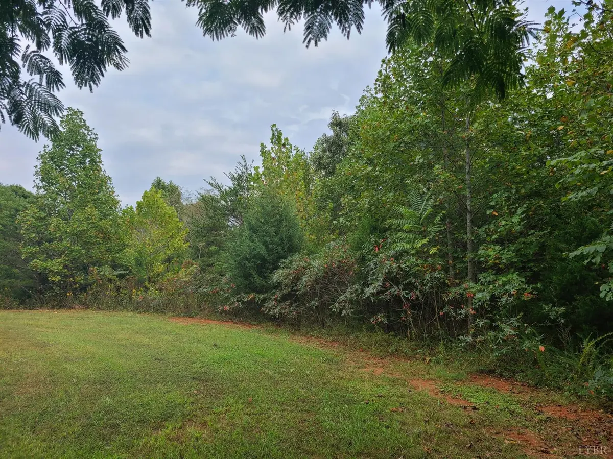 Spout Spring, VA 24593,0 Jenny Lane