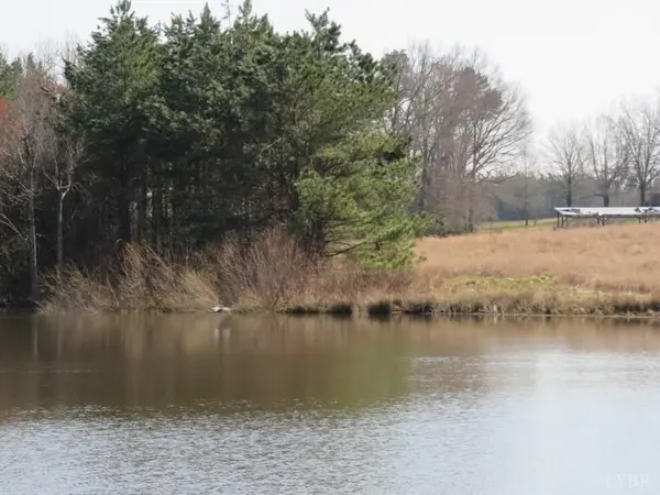 Nathalie, VA 24577,6062 Bull Creek RD