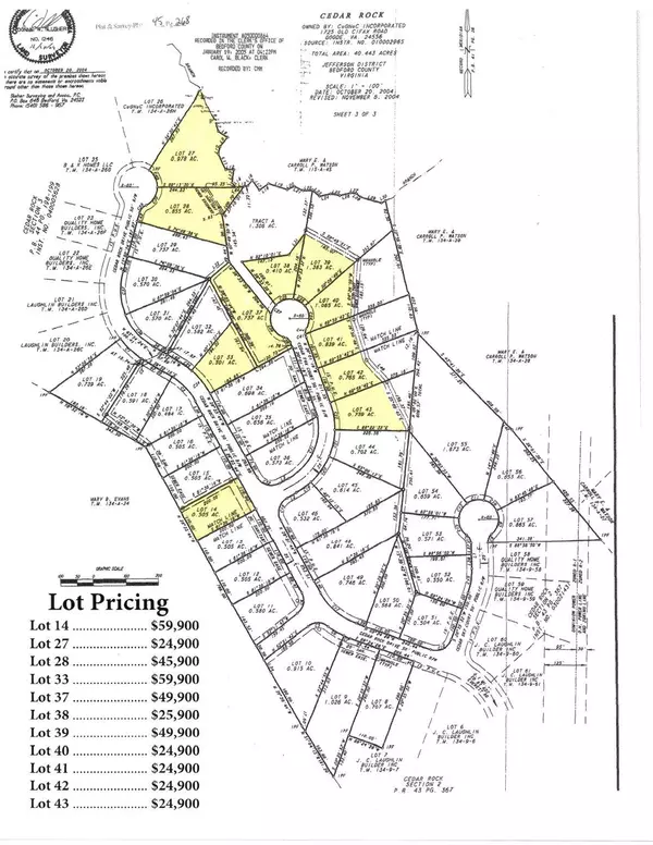 Forest, VA 24551,0 Cedar Rock DR #Lot 14