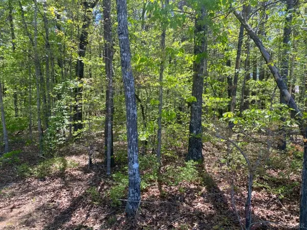 Gladys, VA 24554,102 Whitlow RD