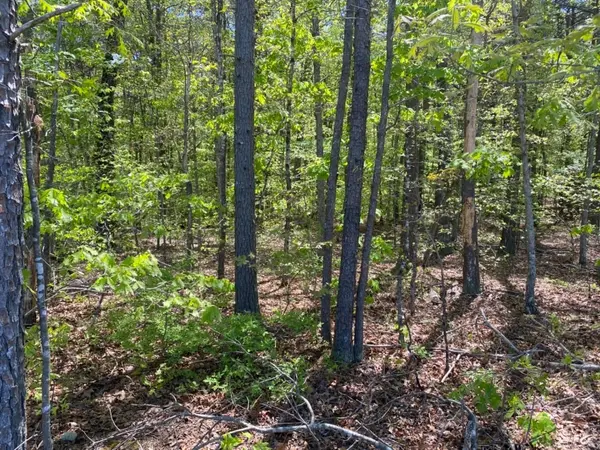 Gladys, VA 24554,102 Whitlow RD