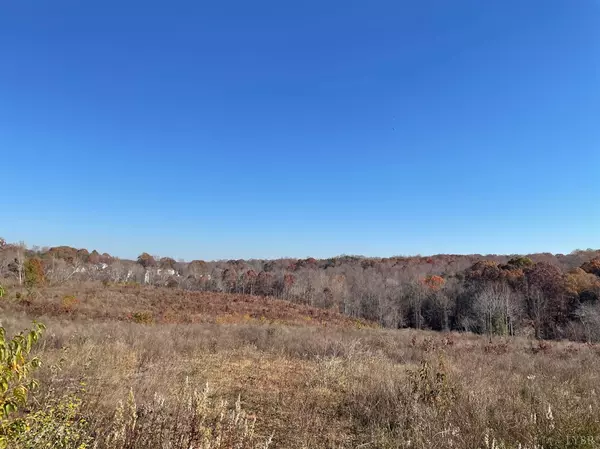 219 Phelps RD, Madison Heights, VA 24572