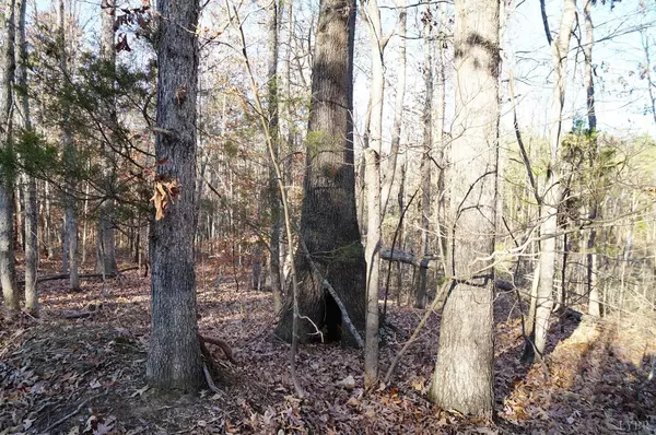 Nathalie, VA 24577,0 Stage Coach RD