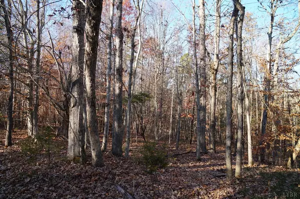 Nathalie, VA 24577,0 Stage Coach RD