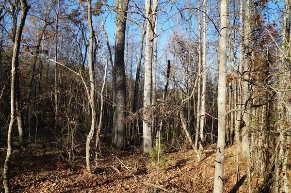 Nathalie, VA 24577,0 Stage Coach RD