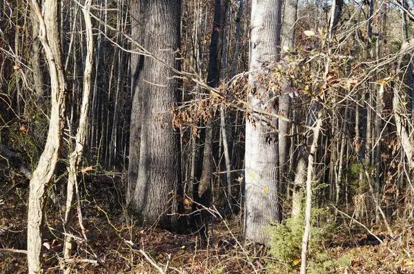 Nathalie, VA 24577,0 Stage Coach RD