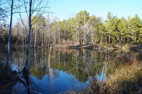 Nathalie, VA 24577,0 Stage Coach RD