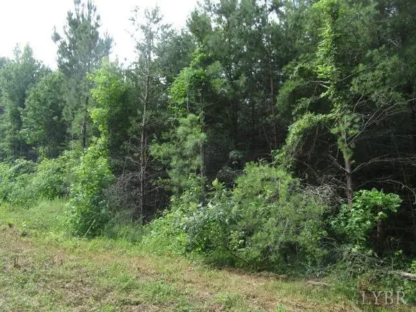 Keeling, VA 24566,0 Brumfield RD