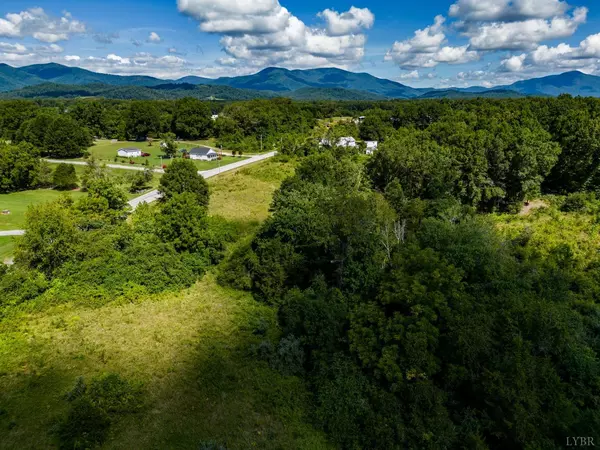 0 Patrick Henry Highway, Piney River, VA 22964