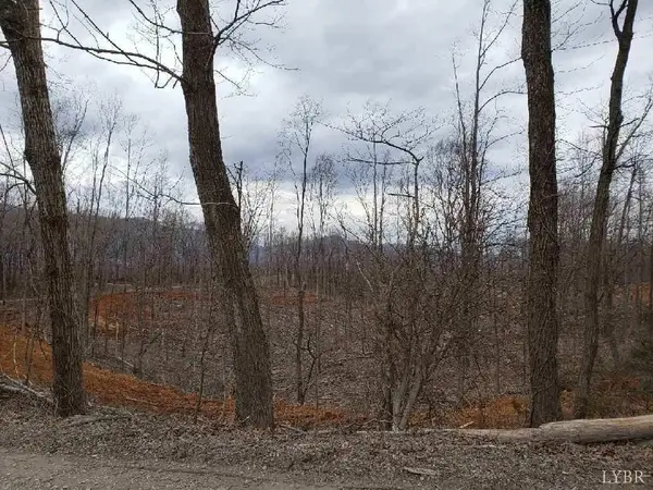 Big Island, VA 24526,0 Waugh Switch RD #Lot 2