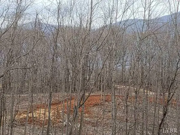 Big Island, VA 24526,0 Waugh Switch RD #Lot 2