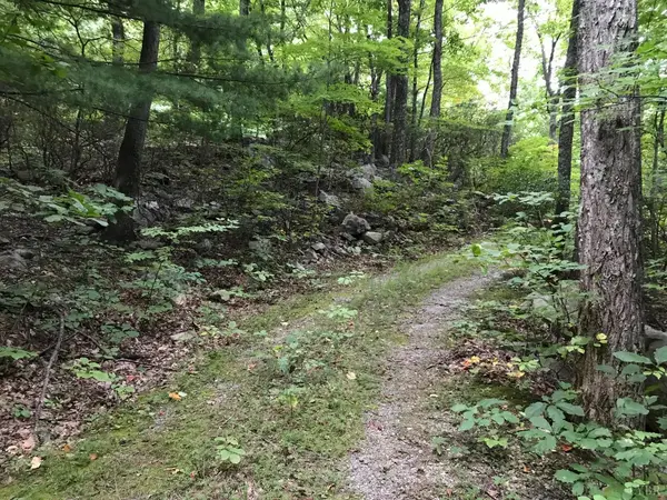 0 Dahlia CT #Lot 13, Big Island, VA 24526