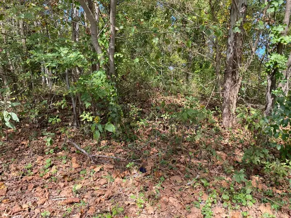 Madison Heights, VA 24572,0 Autumn View LN #LOT 9-10