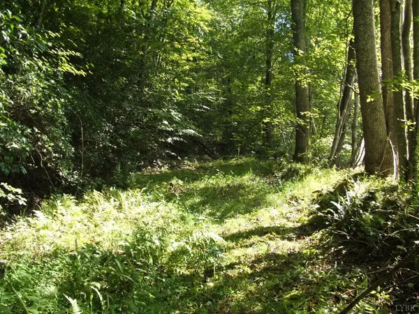 Shipman, VA 22971,0 Laurel Road