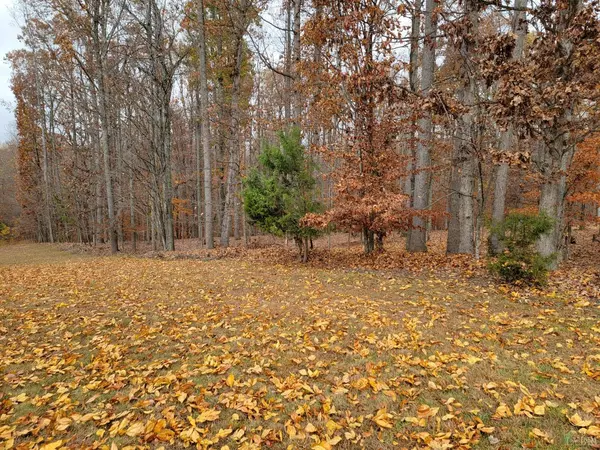 Forest, VA 24551,0 Smartview LN