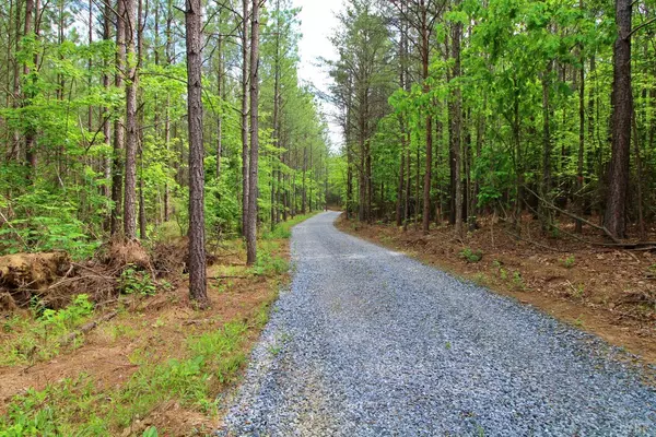 Concord, VA 24538,0 Paradise Hill Rd Lot 1