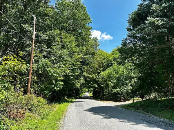 Mahoning Township, PA 18235,Pine Hollow Drive