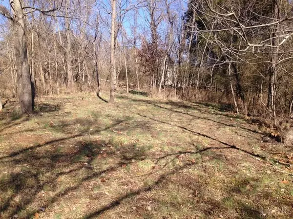 Altavista, VA 24517,0 Lots 27-28 Laurel Ln