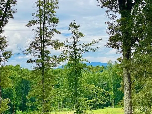 Goode, VA 24556,1154 Lowry Ridge CT