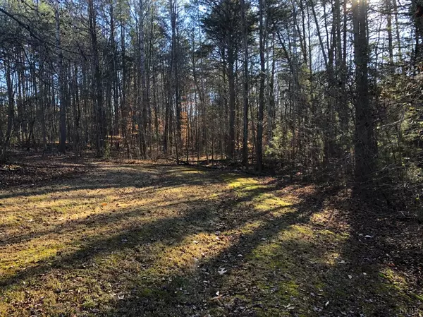 Nathalie, VA 24577,1075 River View DR