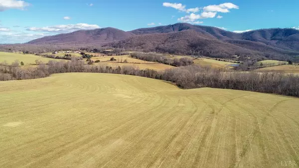 Big Island, VA 24526,1112 Twinleaf RD