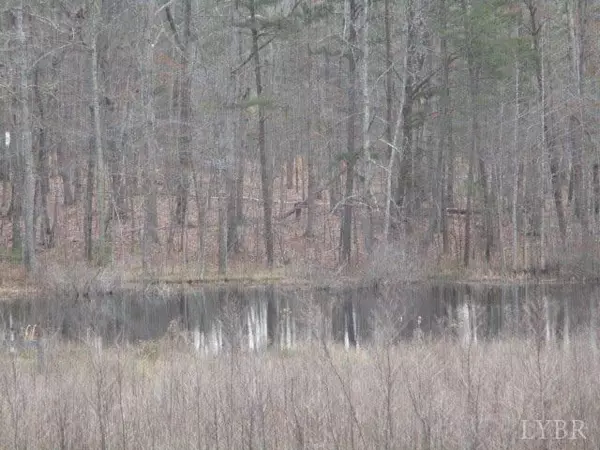 Gladys, VA 24554,12391 Brookneal HWY