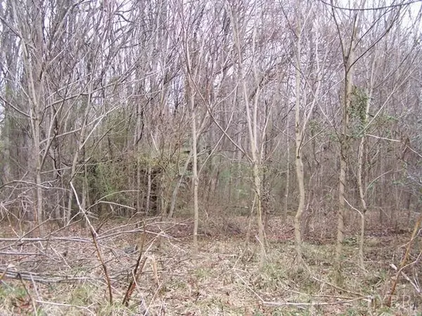 Gladys, VA 24554,1428 RAILVIEW