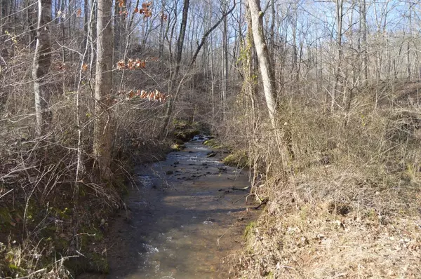 Coleman Falls, VA 24536,7221 Rocky Mtn RD