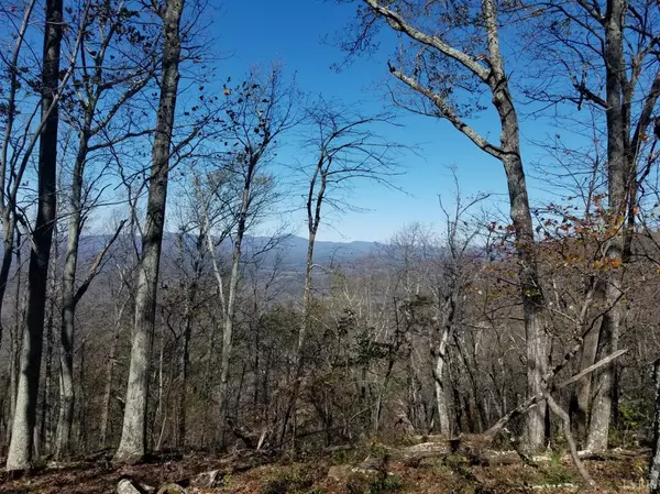 Coleman Falls, VA 24536,7221 Rocky Mtn RD