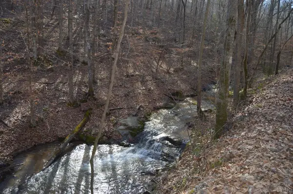 Coleman Falls, VA 24536,7221 Rocky Mtn RD