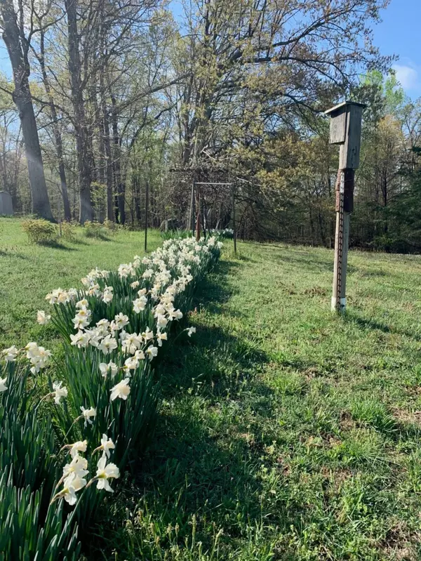 Madison Heights, VA 24572,703 Wright Shop RD