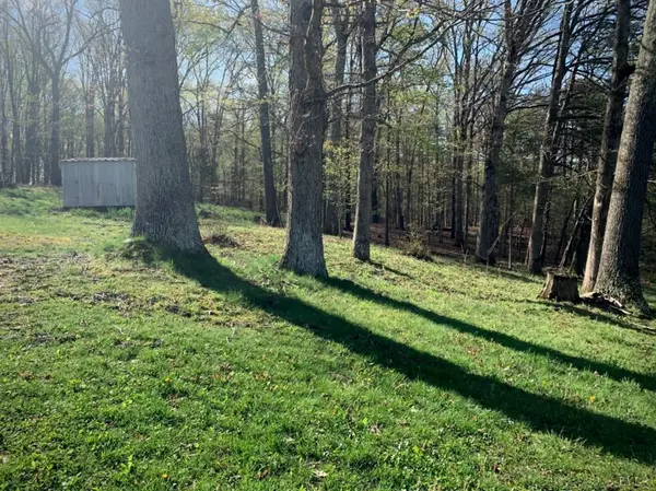 Madison Heights, VA 24572,703 Wright Shop RD