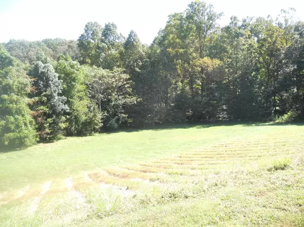 Goodview, VA 24095,1504 Turner Branch RD