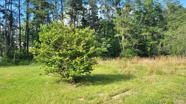 Nathalie, VA 24577,1013 Dusty