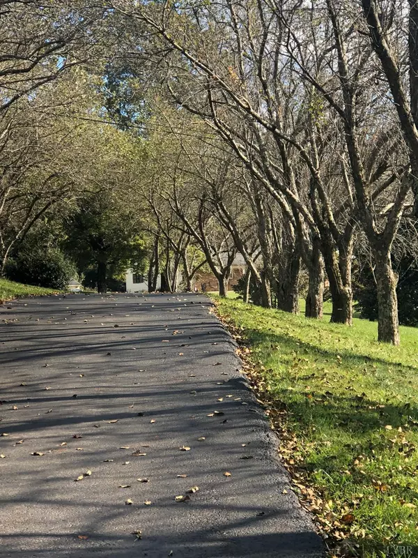 Big Island, VA 24526,10803 Big Island HWY