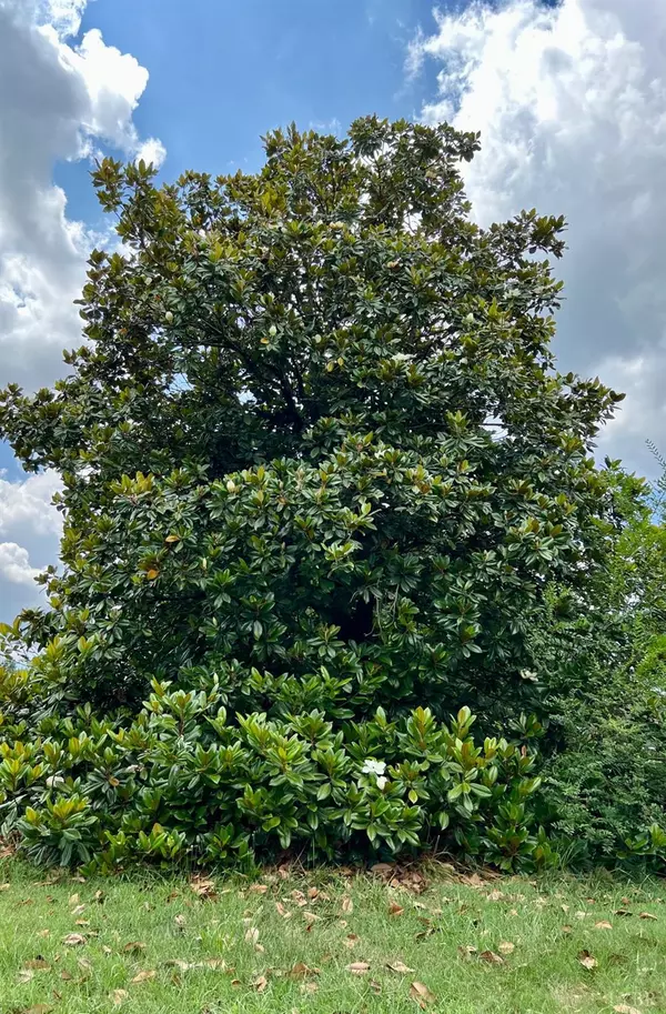 Chatham, VA 24531,21140 N US 29 HWY