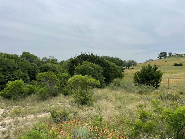 213 CR, Goldthwaite, TX 76844