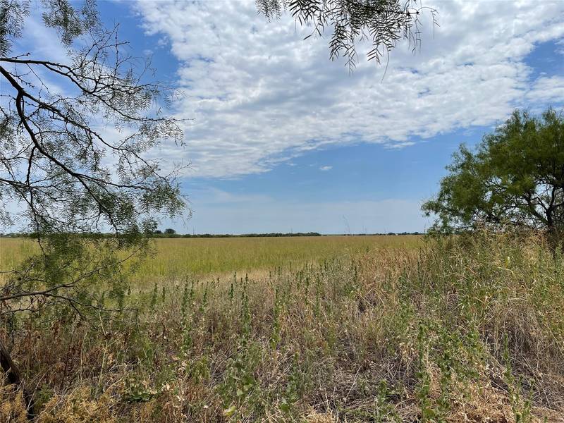 TBD FM 1082, Hawley, TX 79525