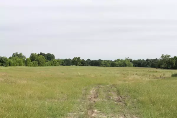 36 Ac. FM 2194, Celeste, TX 75423