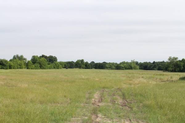 36 Ac. FM 2194, Celeste, TX 75423